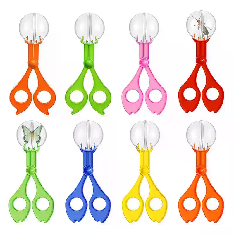 Conjunto de tesouras educacion - Outdoor Camping Kids Activities avaliação e preço