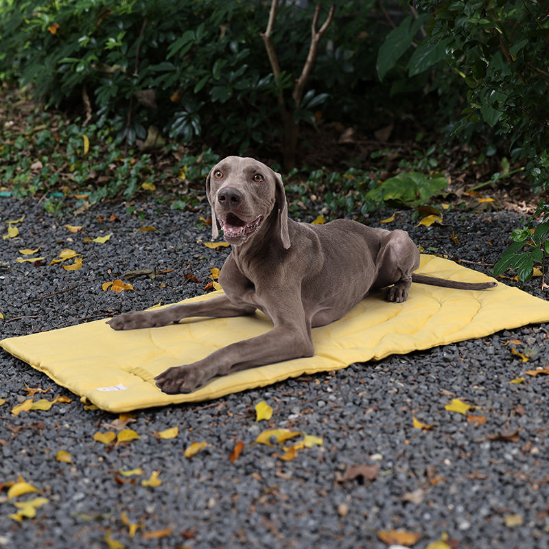 Portátil dobrável Pet Mat com  - Outdoor Camping Rug Waterproof avaliação e preço