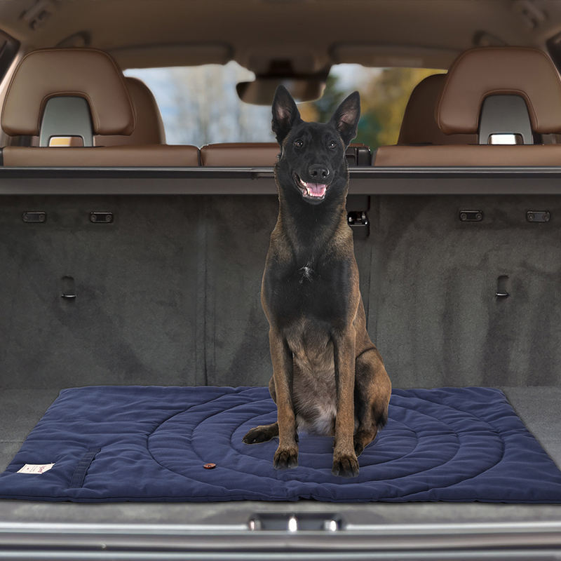 Portátil dobrável Pet Mat com  - Outdoor Camping Rug Waterproof avaliação e preço